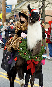 christmas-parade-llama